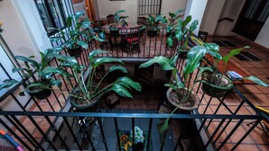 Interior - Rosa Mexicano (Oaxaca)