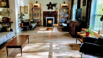 Televisor intel·ligent, llar de foc, videojocs i llibres