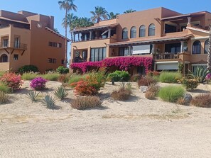 Exterior - Secluded Oceanfront Oasis (San Jose del Cabo)