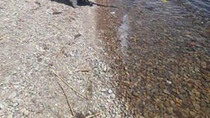 A clear lake with rocky shore, a person crouching by the water, and another standing nearby. - LUNA DEL TITIKAKA LODGE (Moon Island)