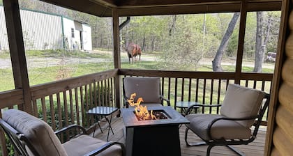 Comfy rustic cabin 1/2 mile from Lake Texoma is ready and fully stocked for 8+!