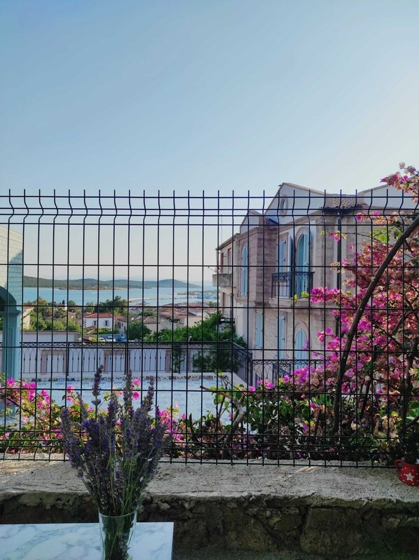 Garden - Mithatpaşa (Istanbul)