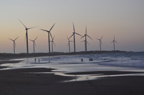 Vlak bij het strand, strandlakens