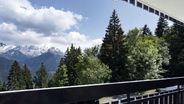Un balcone con vista su montagne innevate e una fitta foresta.