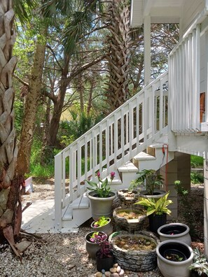 Stroll through a serene outdoor oasis, surrounded by lush greenery and tranquil water features.