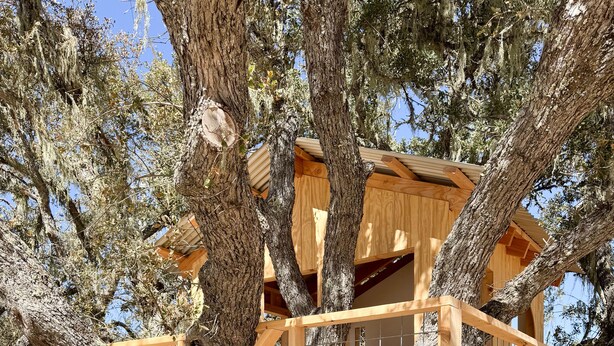A wooden play structure with a slide, surrounded by trees.