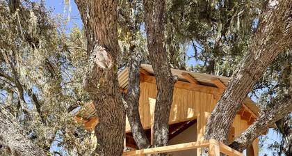 Campover Ranch with Saltwater Pool & Treehouse