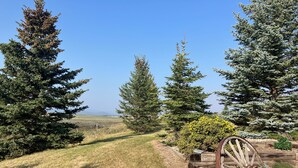 A rural landscape with a wooden wagon wheel, evergreen trees, and a grassy path. - Old Chief Bunkhouse - ranch with views of Chief Mountain (Cardston)
