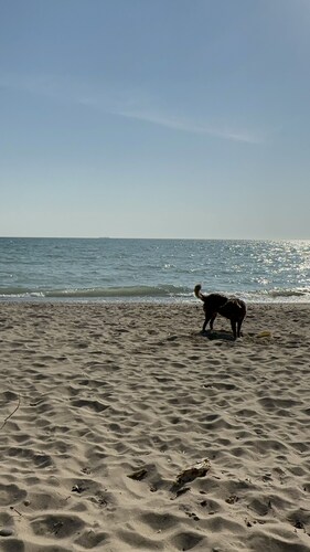 Caseville cottage with beach access