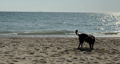 Caseville cottage with beach access