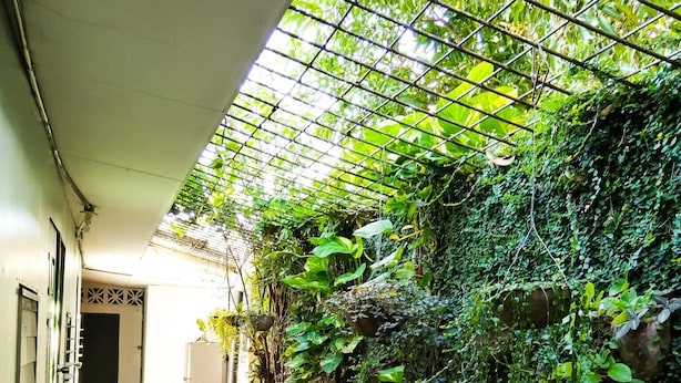 A narrow corridor with a tiled floor, a metal grid ceiling, and lush greenery on one side. - Hostal El Rio (León)