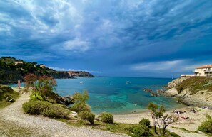 Sun loungers - Les Daines (Collioure)