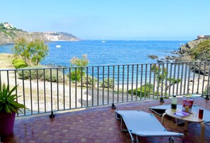 Property grounds - Les Daines (Collioure)