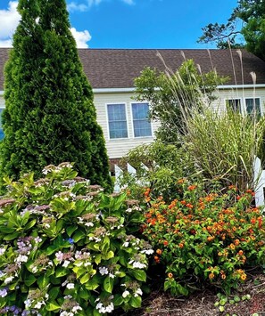 Stroll through the serene garden, surrounded by lush greenery and vibrant flowers.