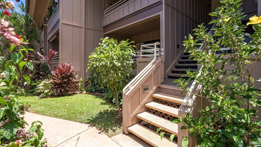 Airy Coastal Dream Vistas