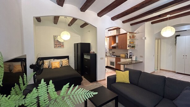 Un espacio habitable compacto con cama, sofá y kitchenette.