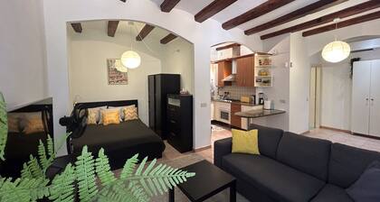 Spacious 1850 Raval 46m Loft. Ideal for Couples and Digital Nomads. Pet-Friendly