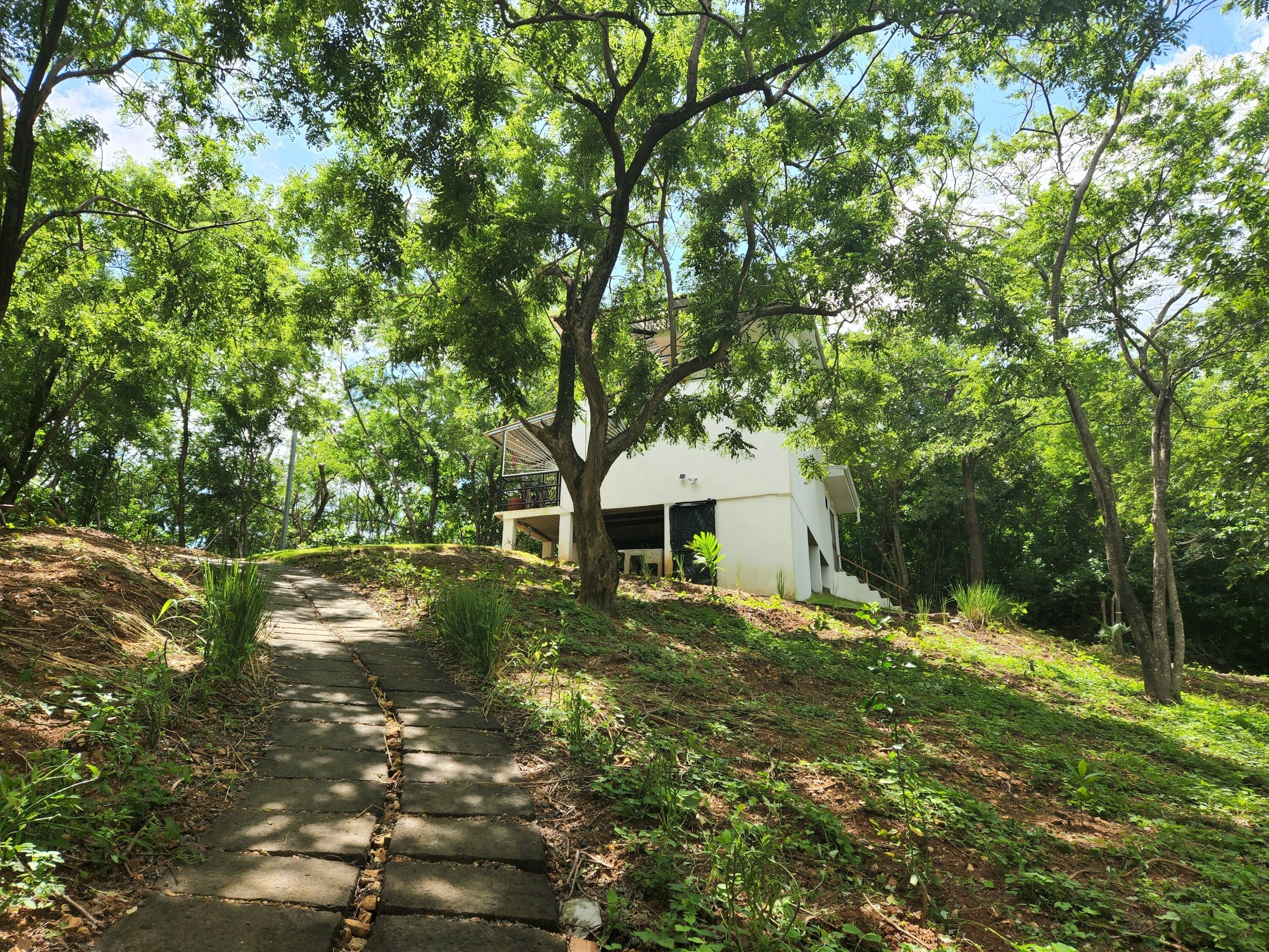 A pathway leading to a white building surrounded by trees.