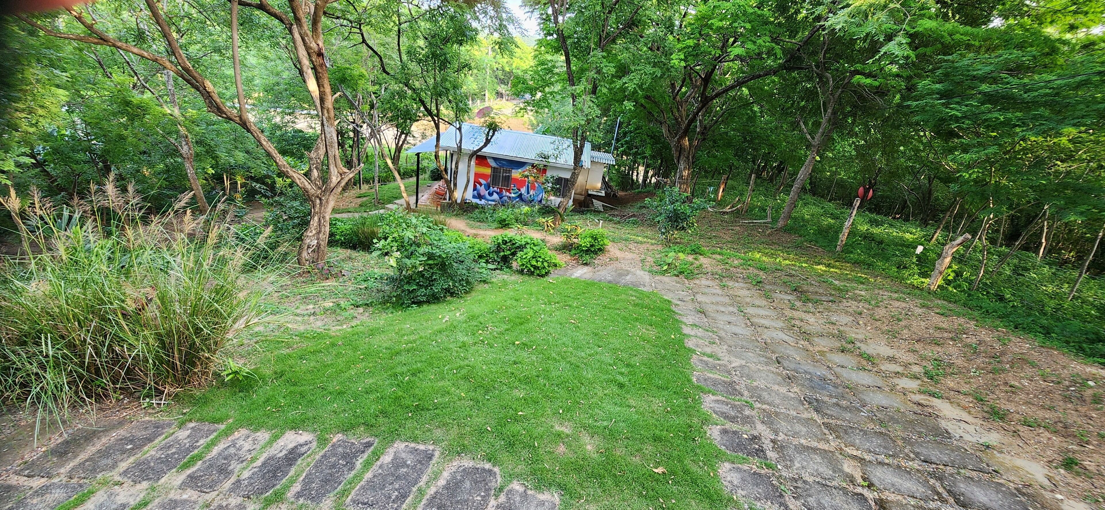 A stone pathway leading to a small building with a colorful mural, surrounded by lush greenery and trees.
