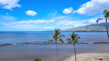 Luxury Condo, Ocean View, Beachside | Beach/ocean view