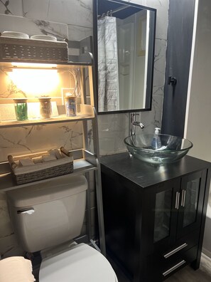 Bathroom - Fabulous 1 Bedroom Shared Space Centrally located near Medical Corridor (Buffalo)