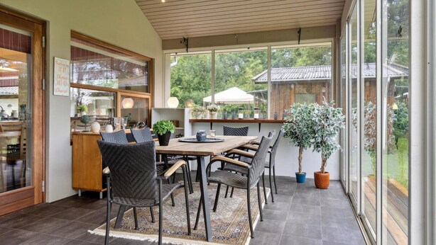 A dining area with a wooden table and chairs, a rug, and potted plants.