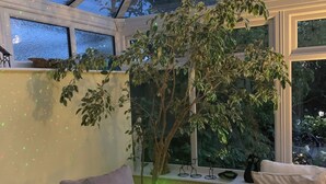 Ein Wintergarten mit einem großen Baum, einem Fenster mit Blick auf Grünflächen und einer Bank.