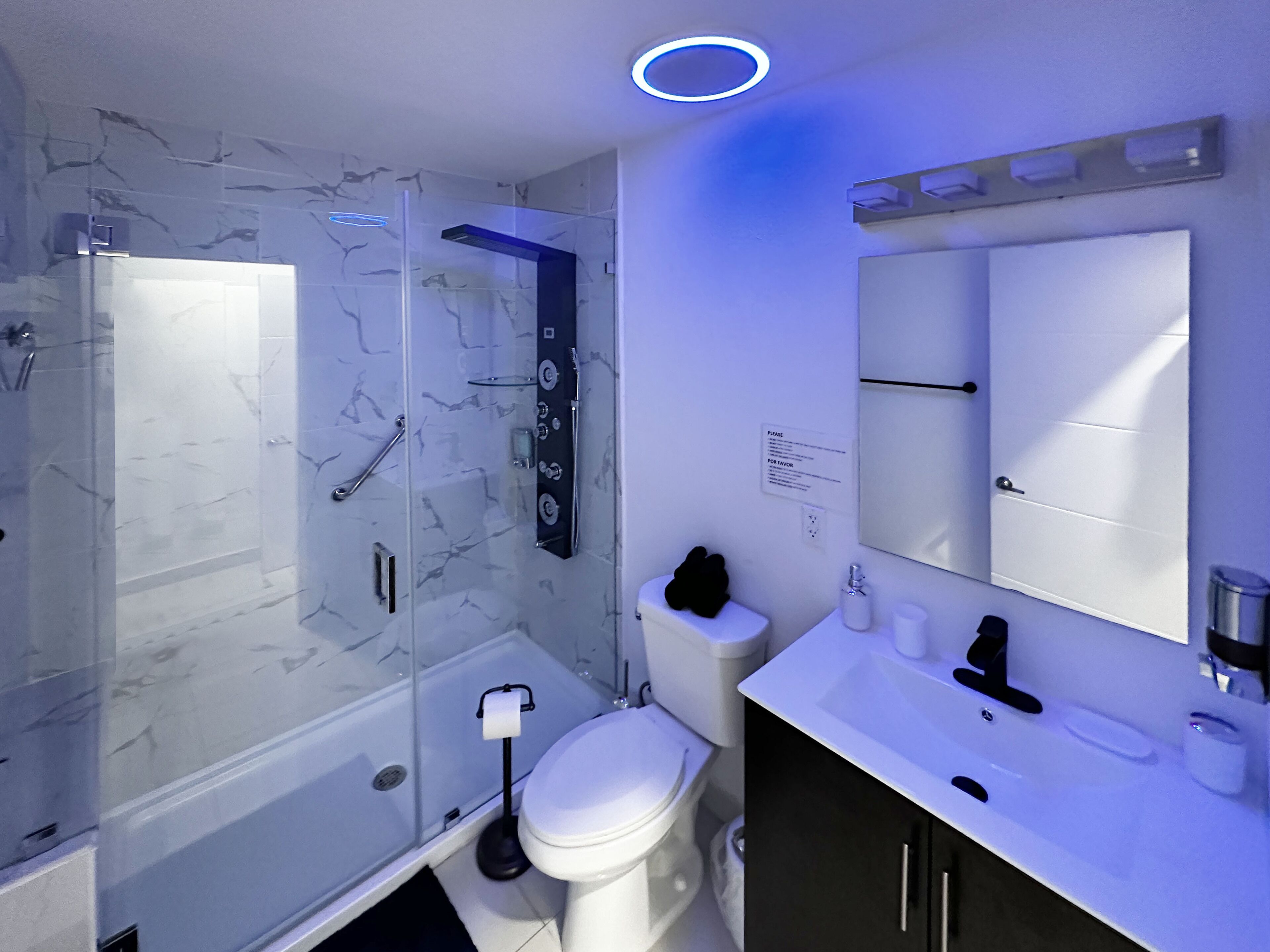 A modern bathroom with a glass-enclosed shower, a white toilet, a black cabinet, and a mirror above the sink.