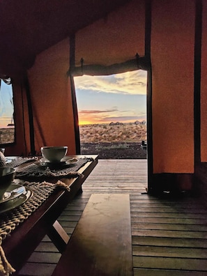 Living area - Raptor Ranch (Williams)