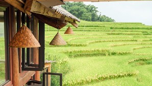 A view from a window overlooking terraced rice fields. - Moc Home Sapa (Ta Van)