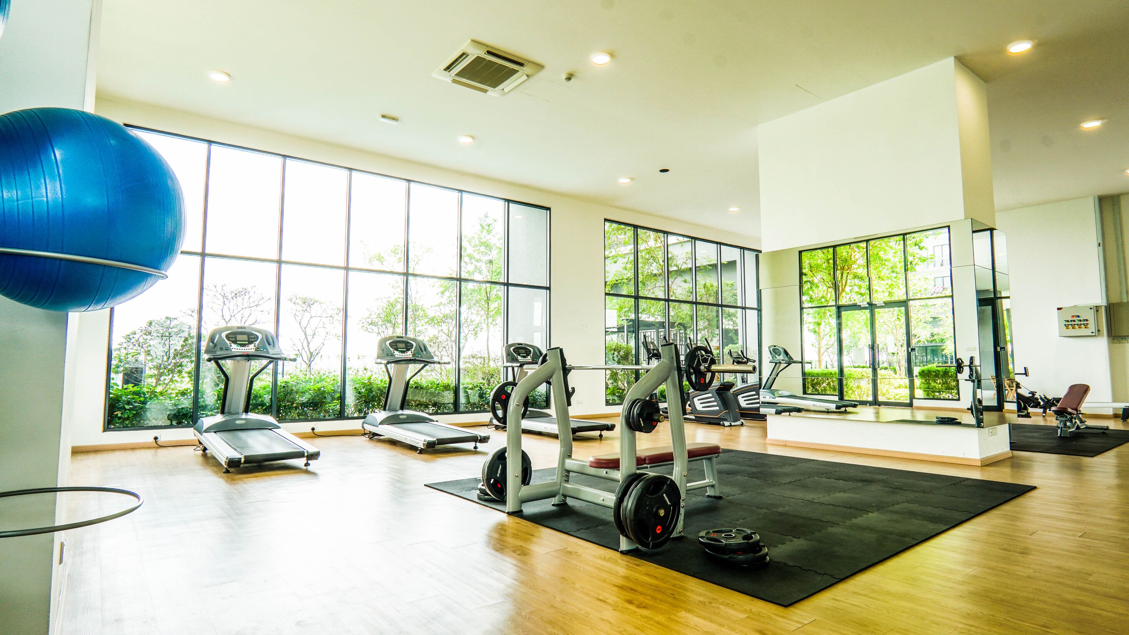 A spacious gym with large windows, treadmills, weight machines, and a blue exercise ball.