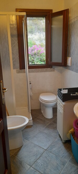 Hair dryer, towels, toilet paper