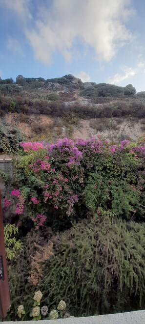 Miscellaneous - Flat with Seeview, pool, terrace (Trinità d'Agultu e Vignola)