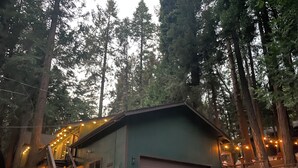 Una baita rustica con una scala di legno che conduce a un terrazzo, circondata da alberi alti.