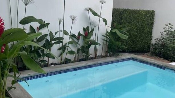 Ein rechteckiger Pool mit Fliesenrand, umgeben von Pflanzen und einer grünen Hecke.