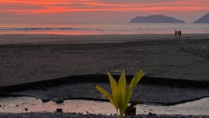 A beach with a sunset, a plant in the foreground, and people in the distance. - House with private pool and fully equipped BBQ (Jaco)