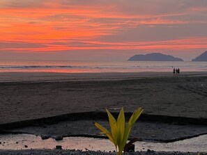 A beach with a sunset, a plant in the foreground, and people in the distance. - House with private pool and fully equipped BBQ (Jaco)