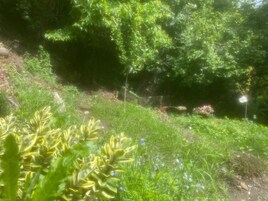 Jardín