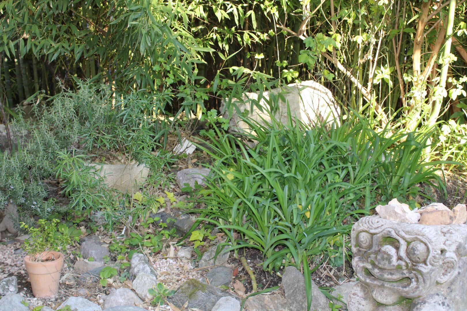 A garden with various plants, rocks, and a stone sculpture.