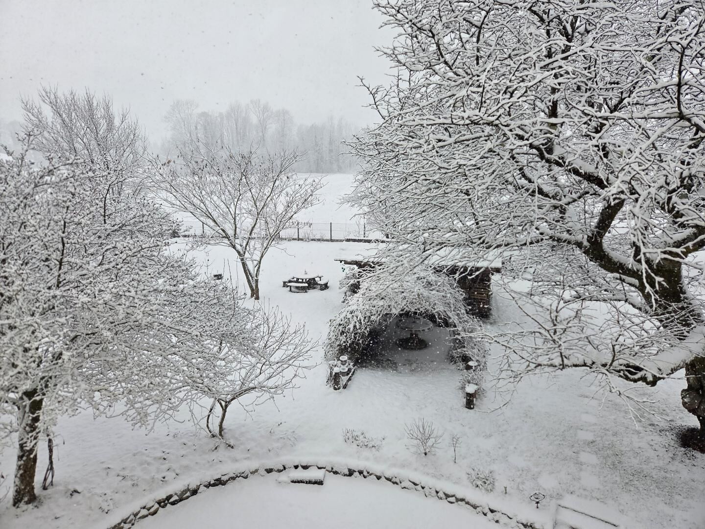 A snowy landscape with trees and a stone wall.