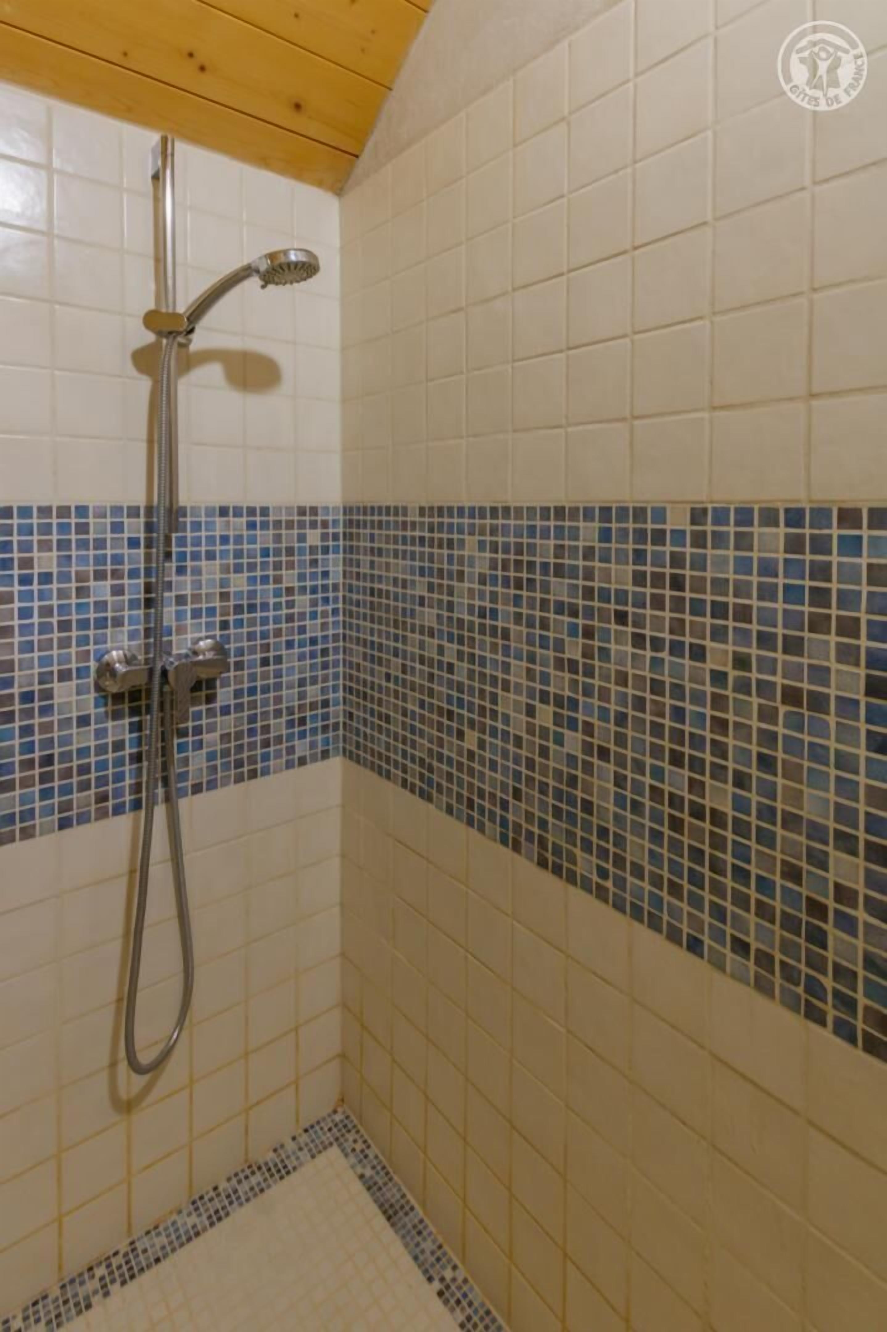 A shower with a handheld showerhead and a wall-mounted faucet, tiled with a combination of white and blue mosaic tiles.
