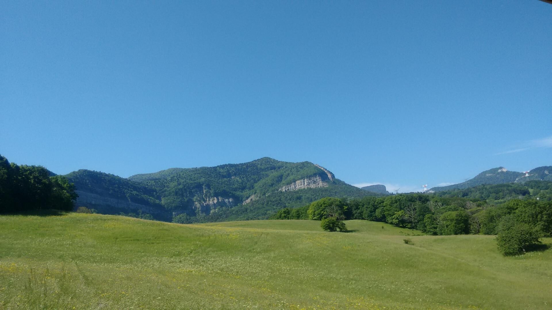 A grassy field with a mountain in the background.