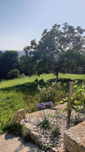 Property grounds - LA Parenthese - St-genix-les-villages (ST-GENIX-LES-VILLAGES)