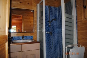 Shower, hair dryer