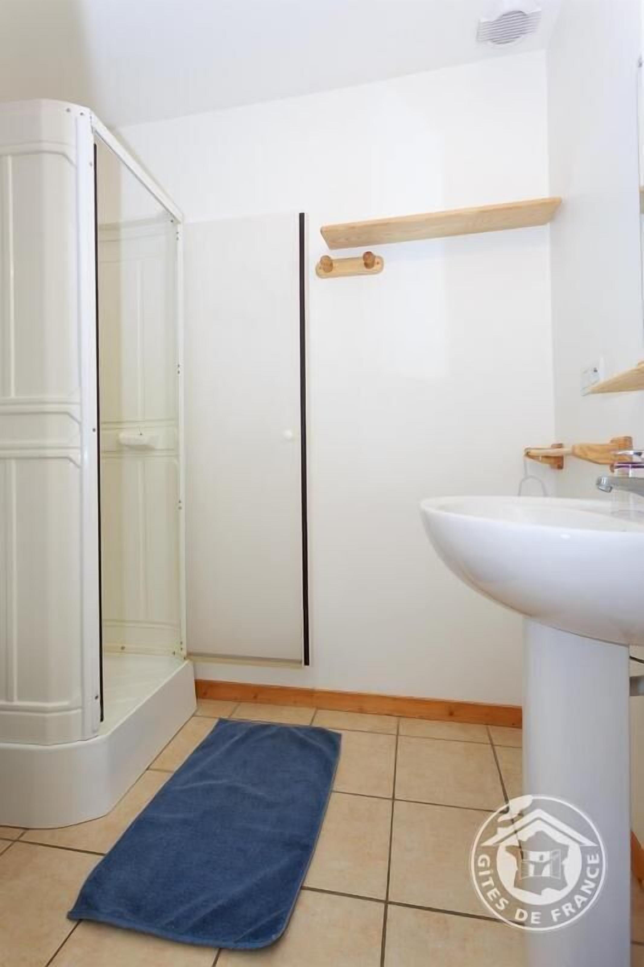 A bathroom with a shower, a sink, and a towel on the floor.