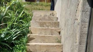 Un escalier en pierre menant à un bâtiment, entouré de verdure.