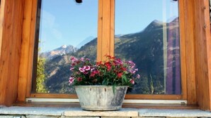 A window with a wooden frame and a metal pot of flowers. - LE PIN Cembro LA Norma (LA NORMA VILLARODIN BOURGET)