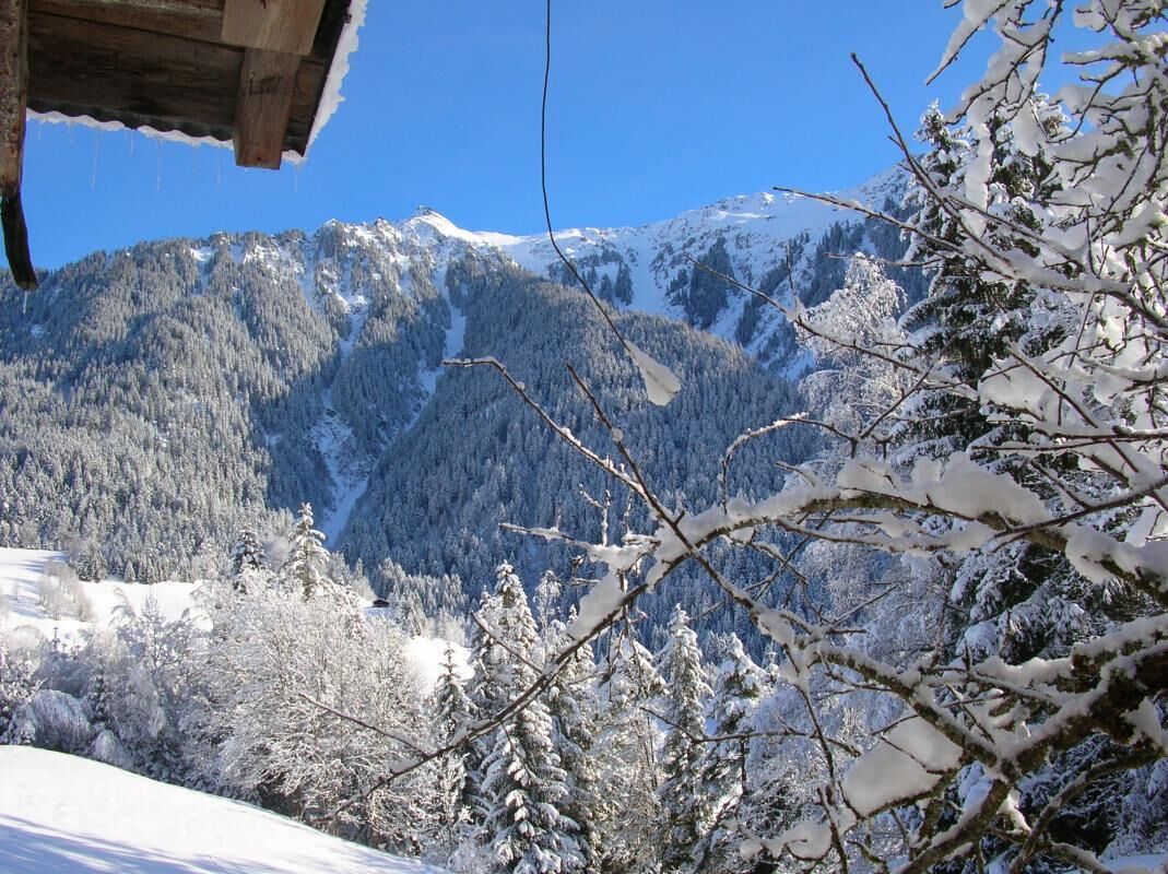 Paisagem de montanha com árvores cobertas de neve e céu azul límpido.