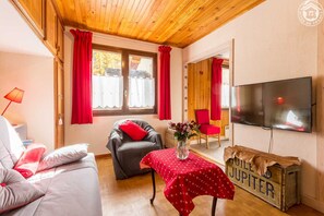 تلفزيون، مشغل دي في دي