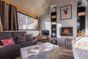 TV, fireplace - L'ecoliere - Valmeinier (VALMEINIER)